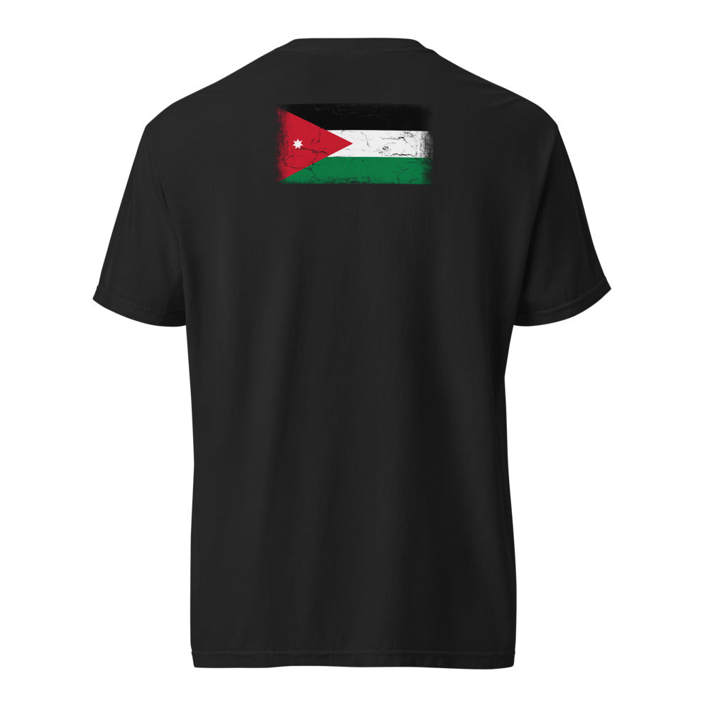 Jordan Flag Tee — Back — Black