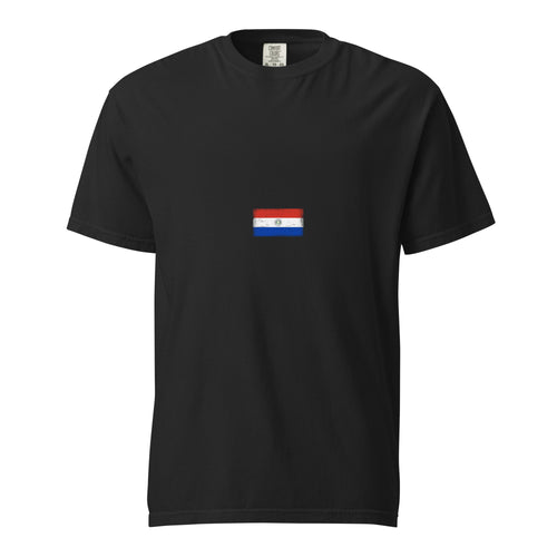 Paraguay flag t-shirt in Black, vintage-washed print, small flag on the chest, unisex cut, front view