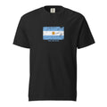 Argentina flag t-shirt in Black, vintage-washed print, large flag on the chest, unisex cut, front view
