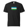 Uzbekistan flag t-shirt in Black, vintage-washed print, large flag on the chest, unisex cut, front view