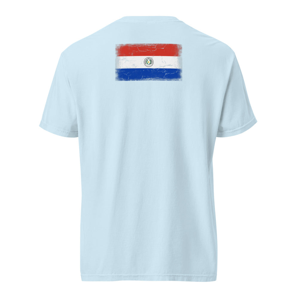 Paraguay Flag Tee — Back — Chambray