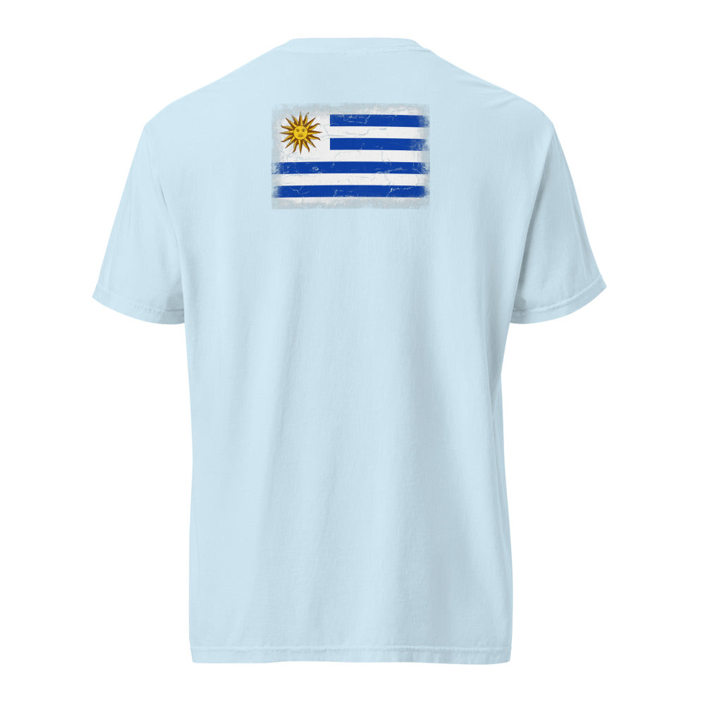Uruguay Flag Tee — Back — Chambray