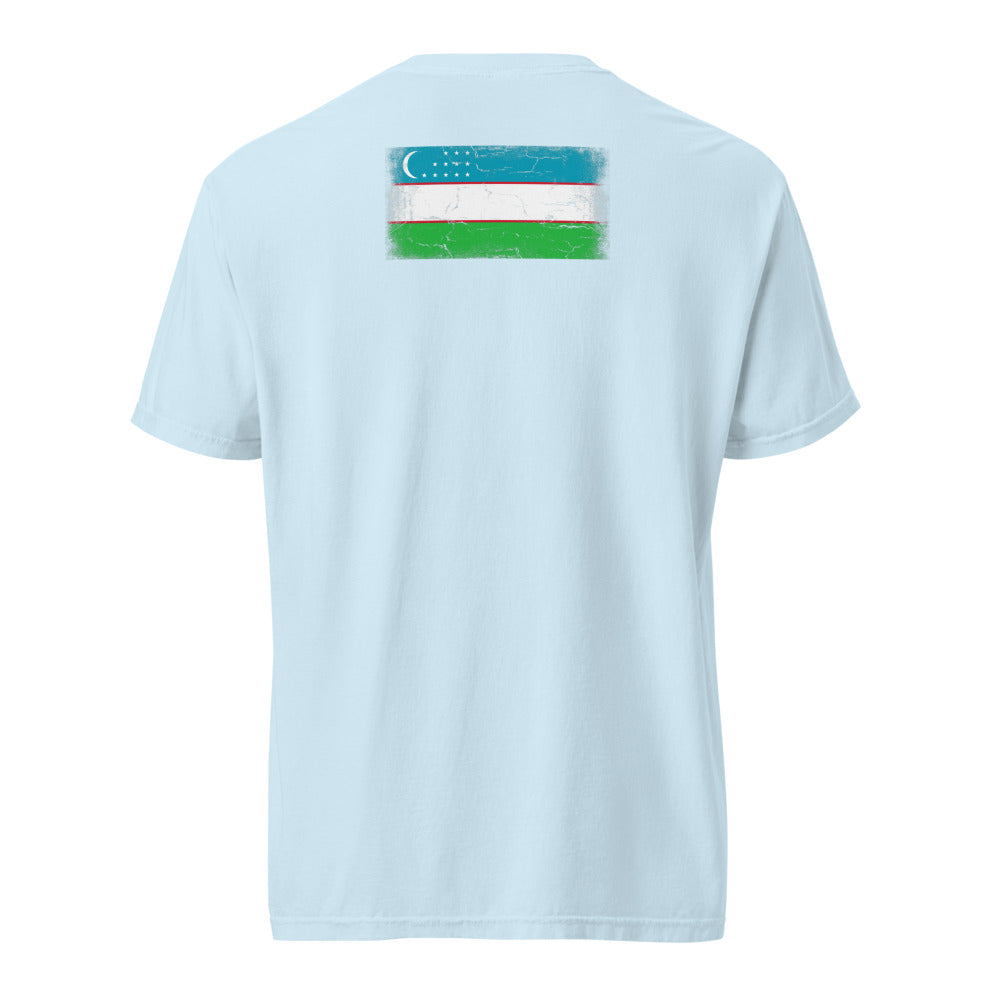 Uzbekistan Flag Tee — Back — Chambray
