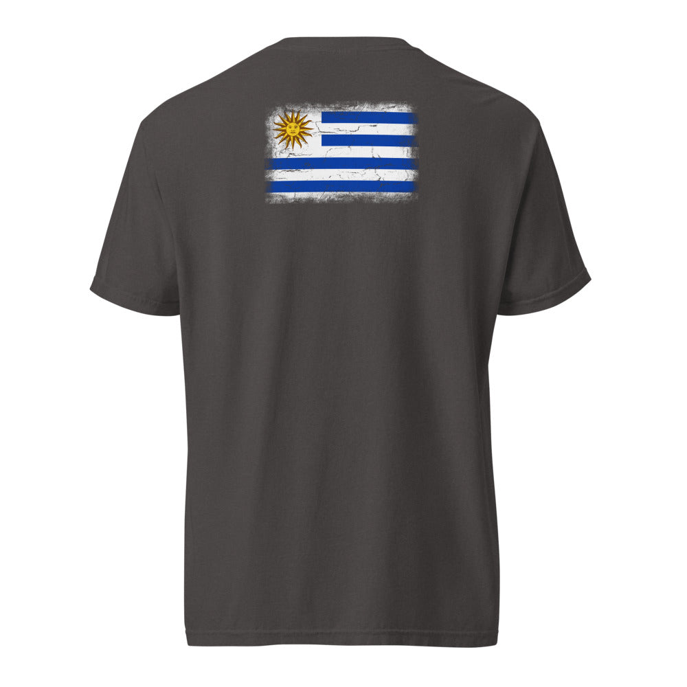 Uruguay Flag Tee — Back — Graphite