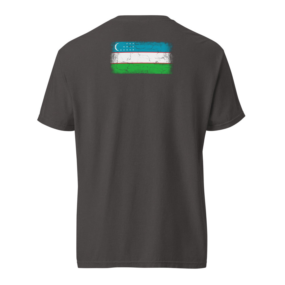 Uzbekistan Flag Tee — Back — Graphite