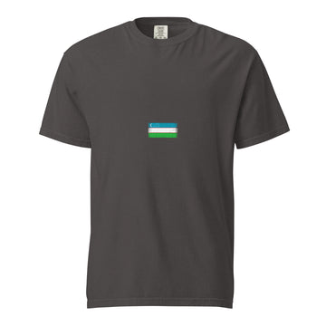 Uzbekistan Flag Tee | Minimal | Unisex | Heavyweight Cotton