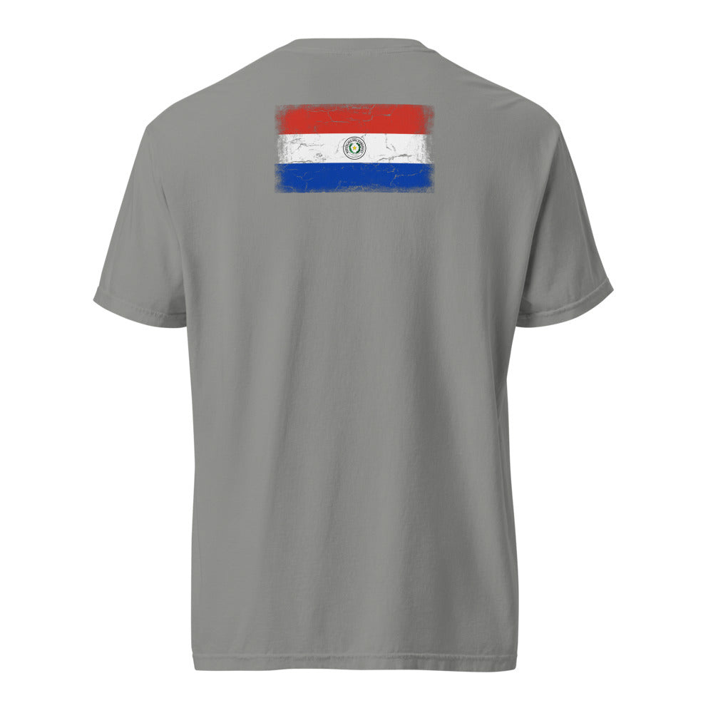 Paraguay Flag Tee — Back — Grey