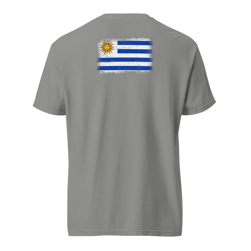 Uruguay Flag Tee — Back — Grey