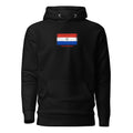 Paraguay flag hoodie in Black, vintage-washed print, flag on the chest, unisex cut, front view