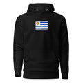 Uruguay flag hoodie in Black, vintage-washed print, flag on the chest, unisex cut, front view
