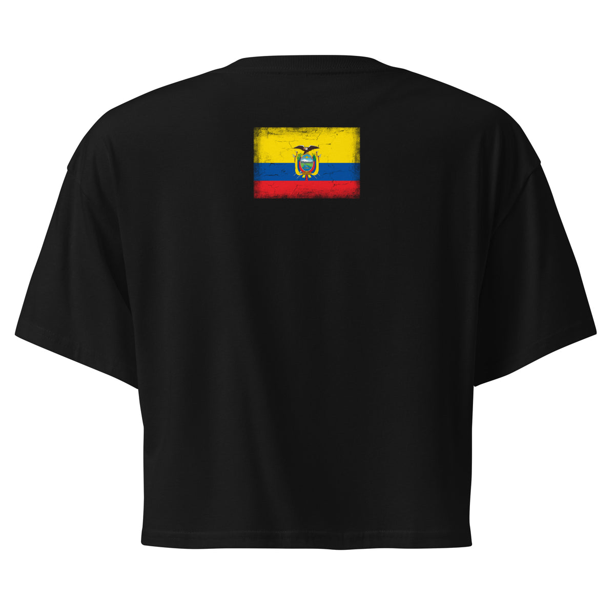 Ecuador flag crop top in Black, vintage-washed print, flag across the upper back, women cut, back view