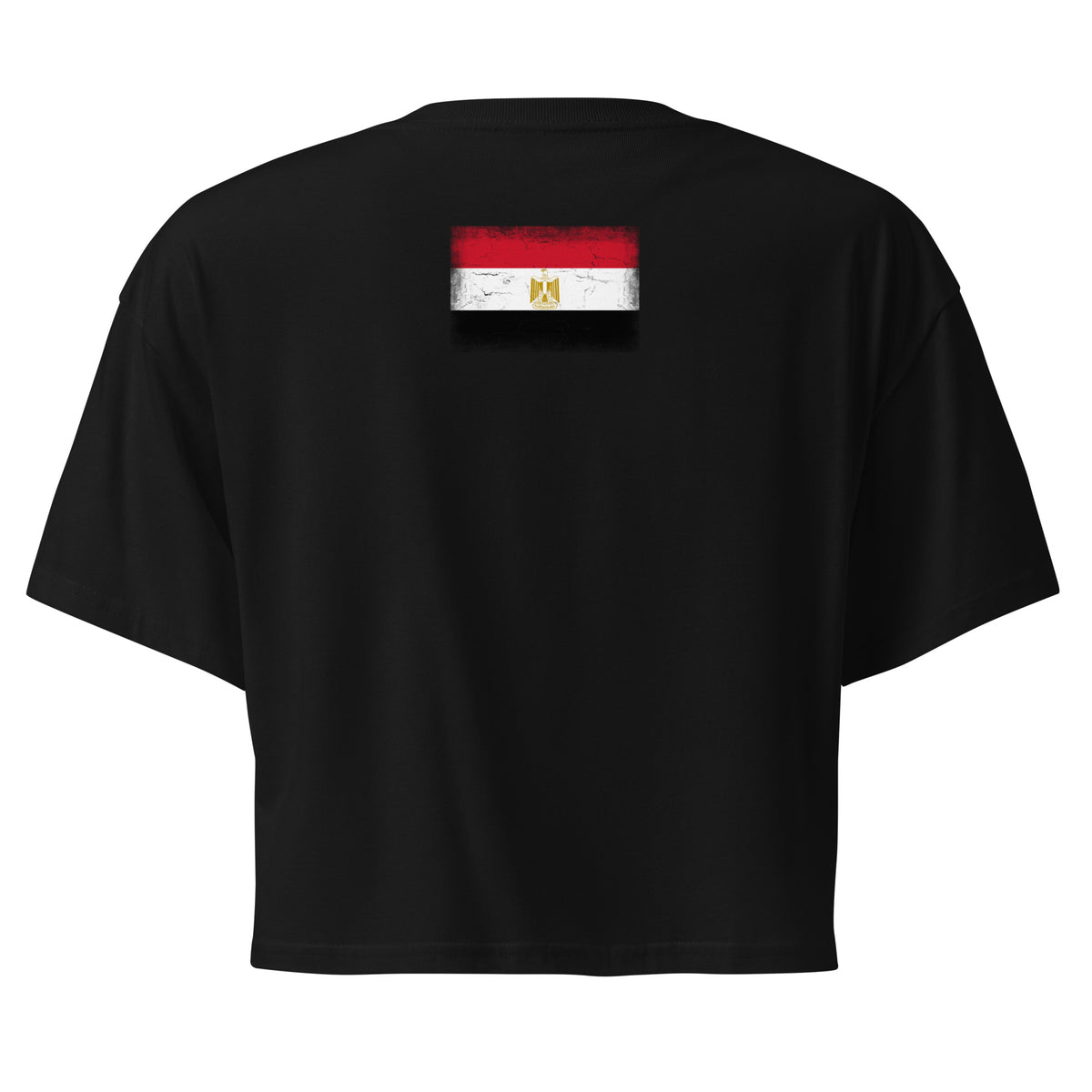 Egypt flag crop top in Black, vintage-washed print, flag across the upper back, women cut, back view