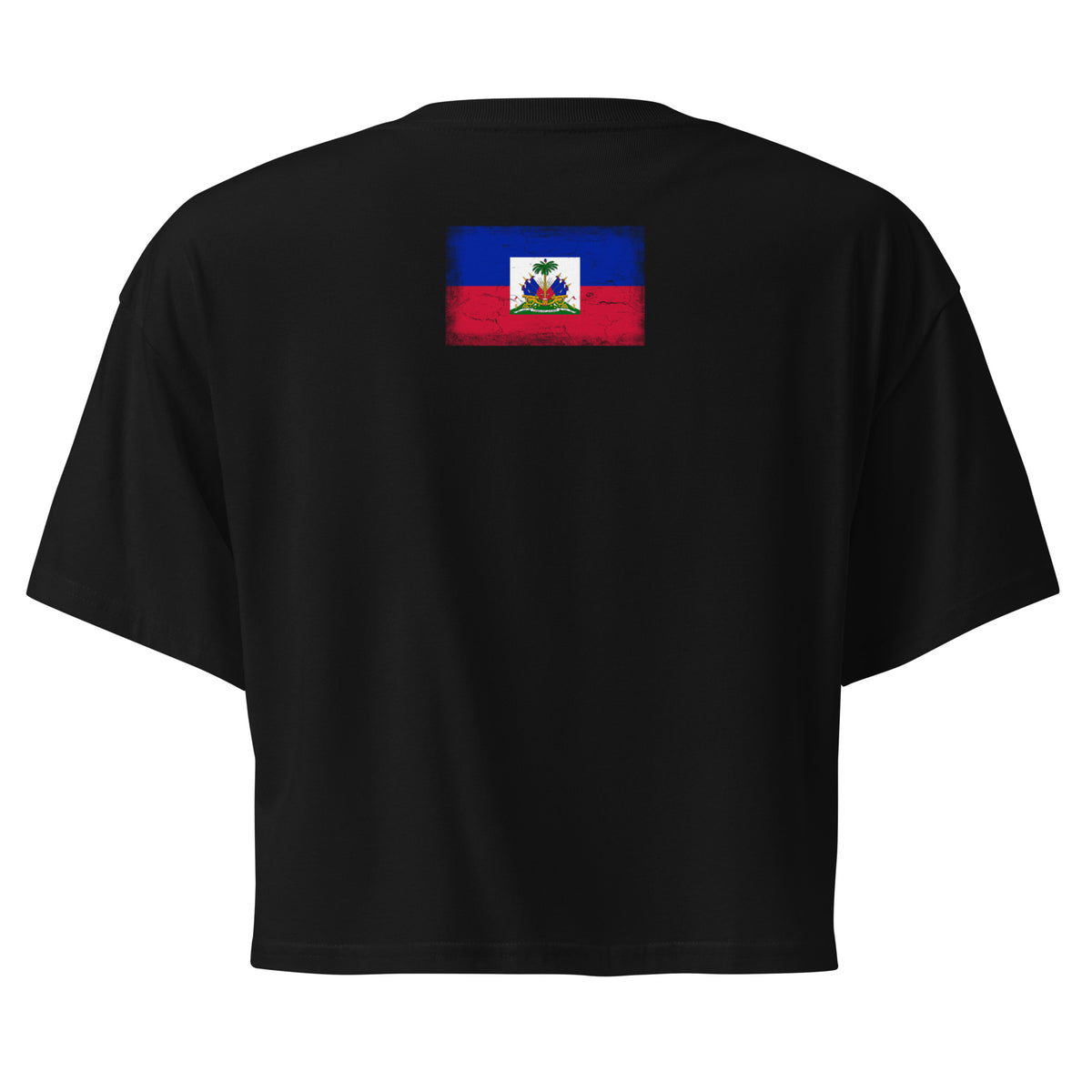 Haiti flag crop top in Black, vintage-washed print, flag across the upper back, women cut, back view