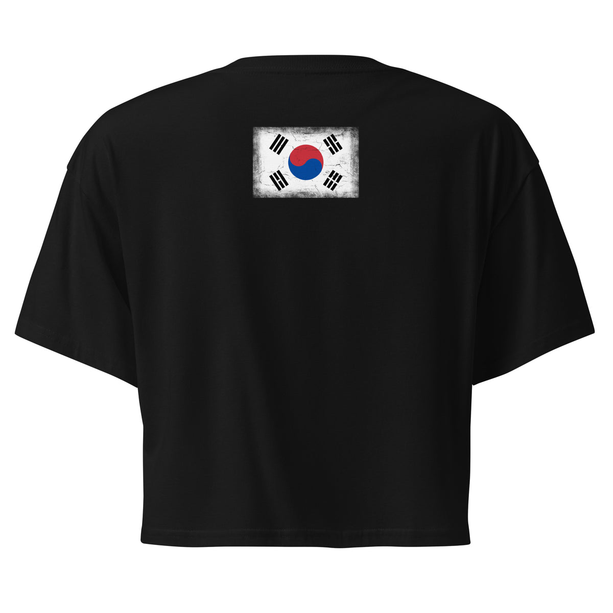 South Korea flag crop top in Black, vintage-washed print, flag across the upper back, women cut, back view