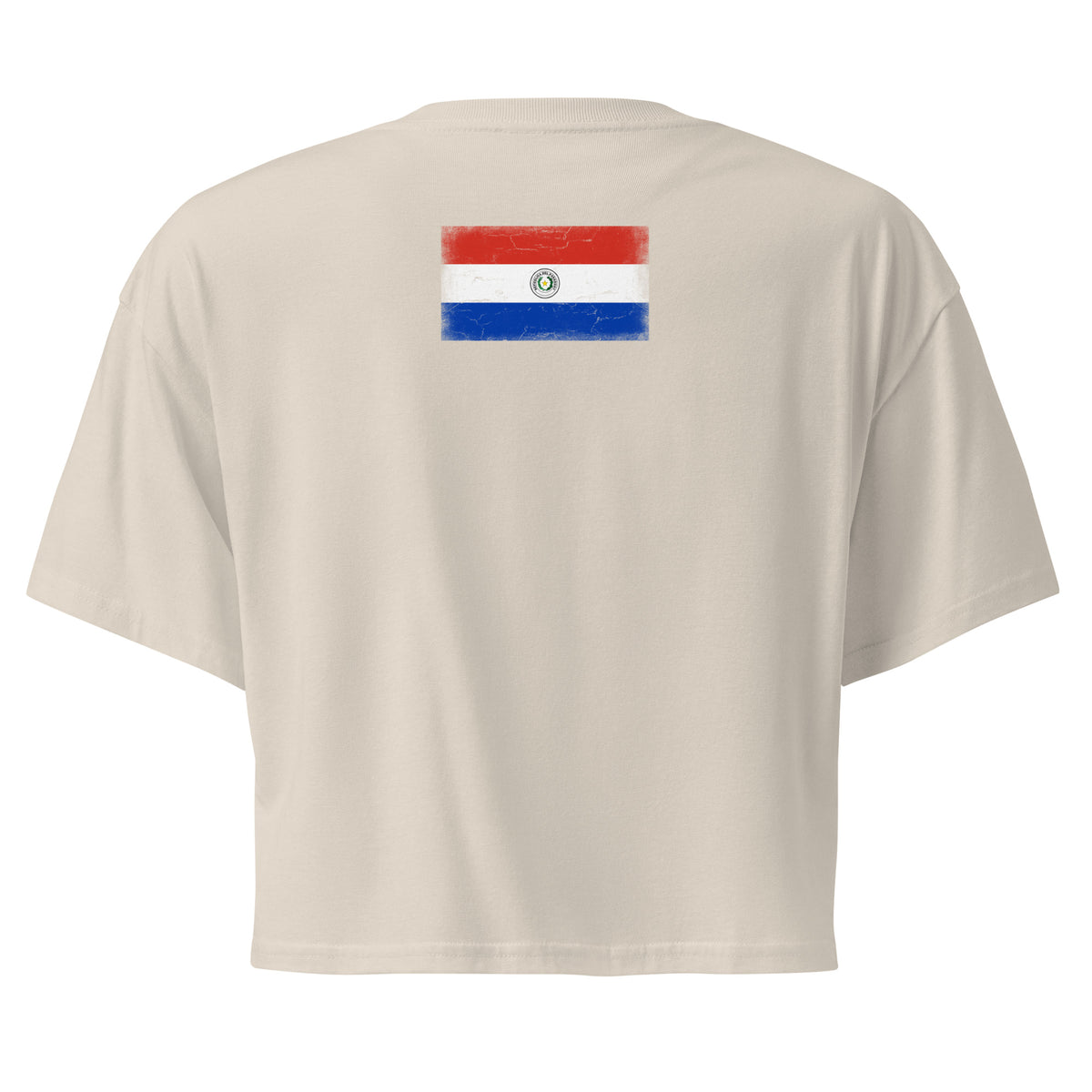Paraguay flag crop top in Bone, vintage-washed print, flag across the upper back, women cut, back view
