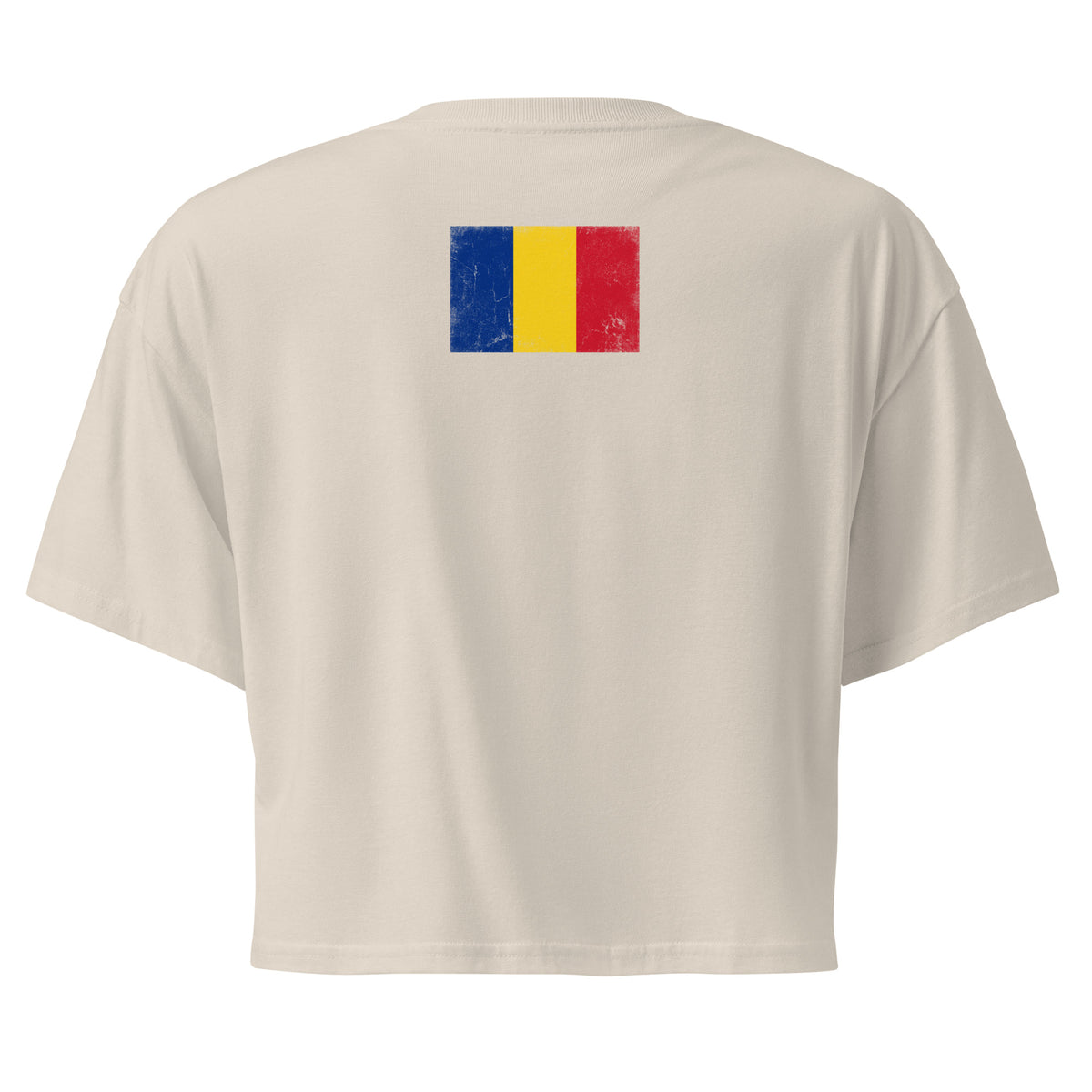 Romania flag crop top in Bone, vintage-washed print, flag across the upper back, women cut, back view