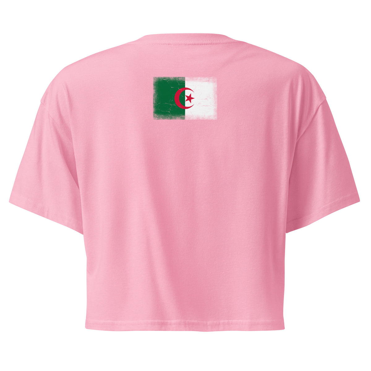 Algeria flag crop top in Bubblegum, vintage-washed print, flag across the upper back, women cut, back view