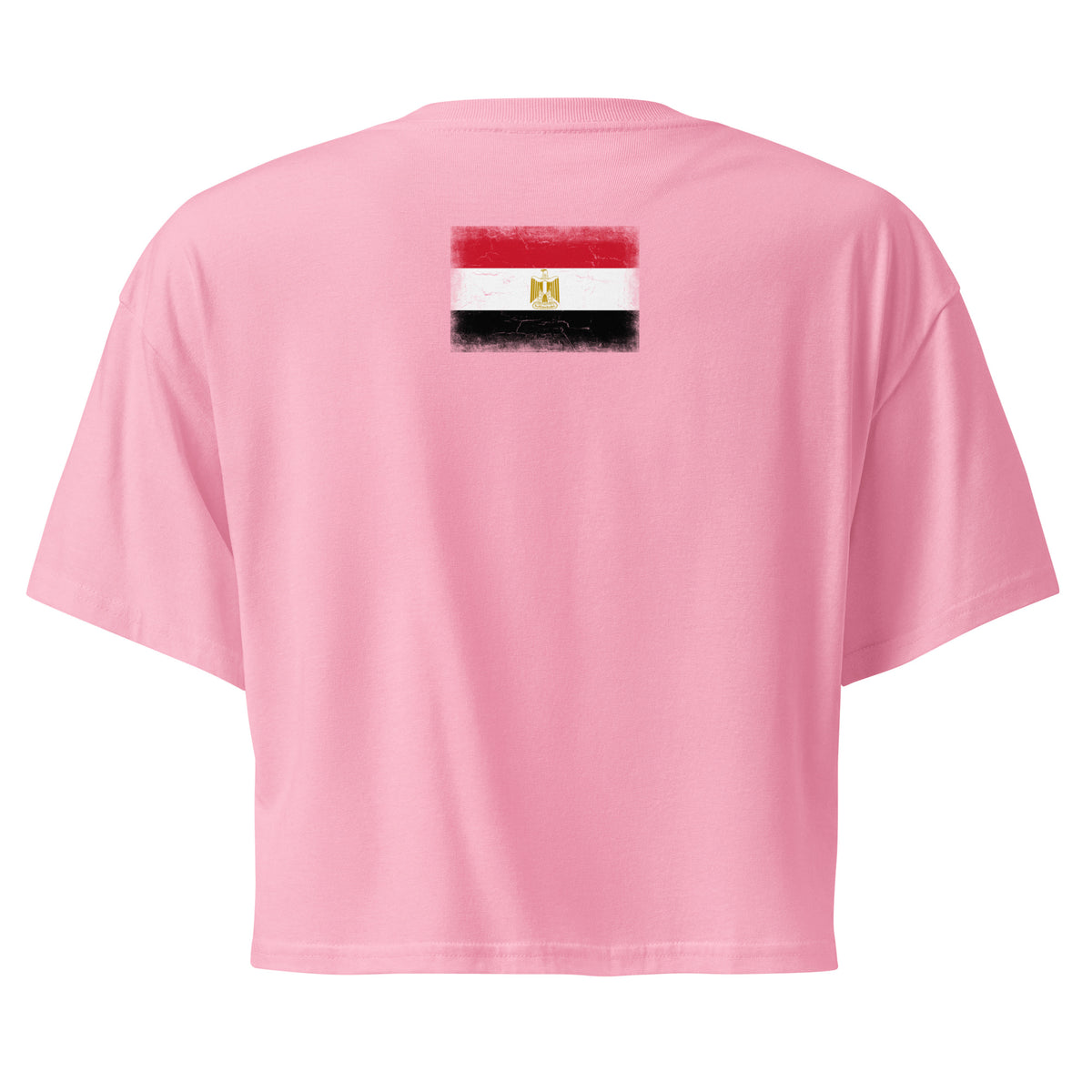 Egypt flag crop top in Bubblegum, vintage-washed print, flag across the upper back, women cut, back view