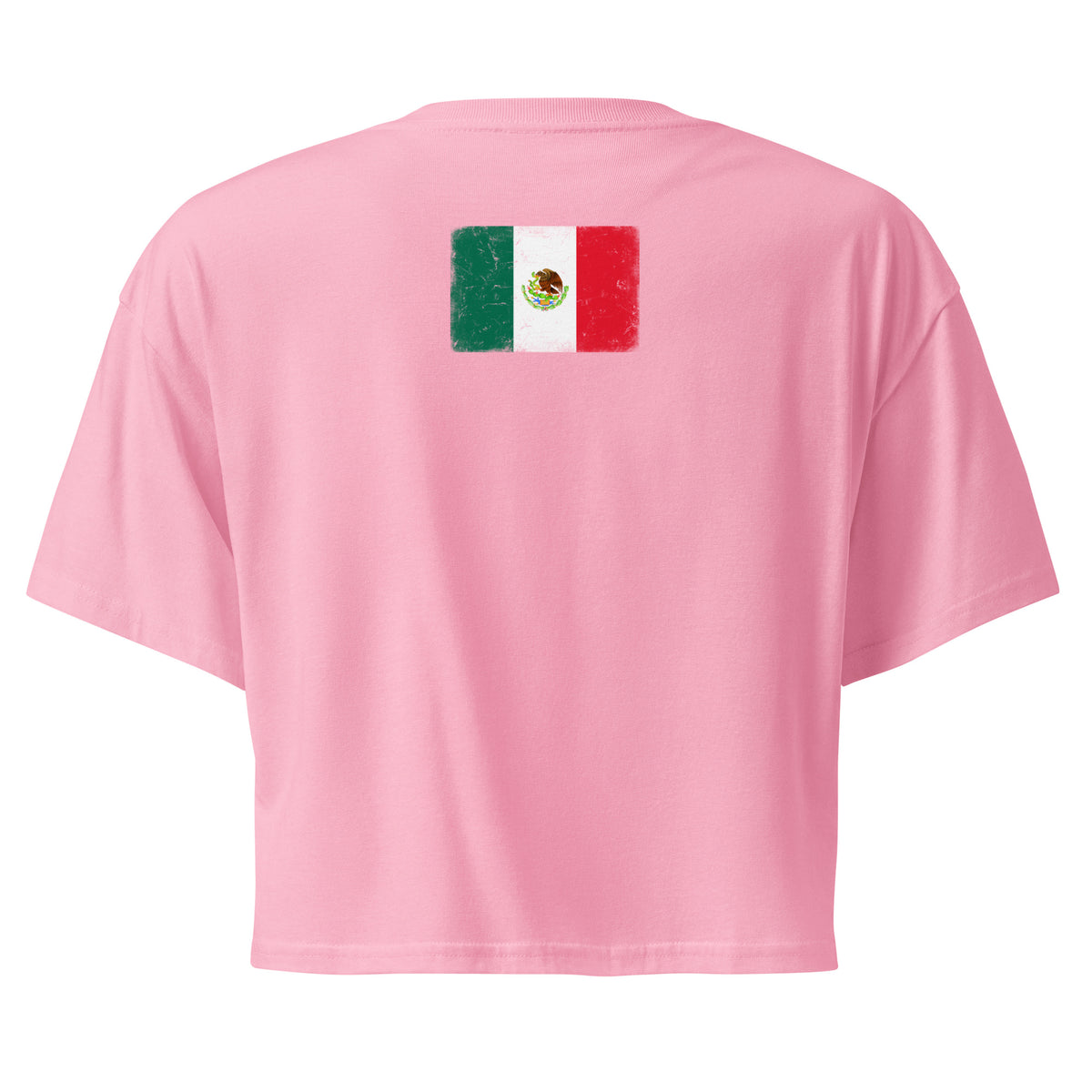 Mexico flag crop top in Bubblegum, vintage-washed print, flag across the upper back, women cut, back view