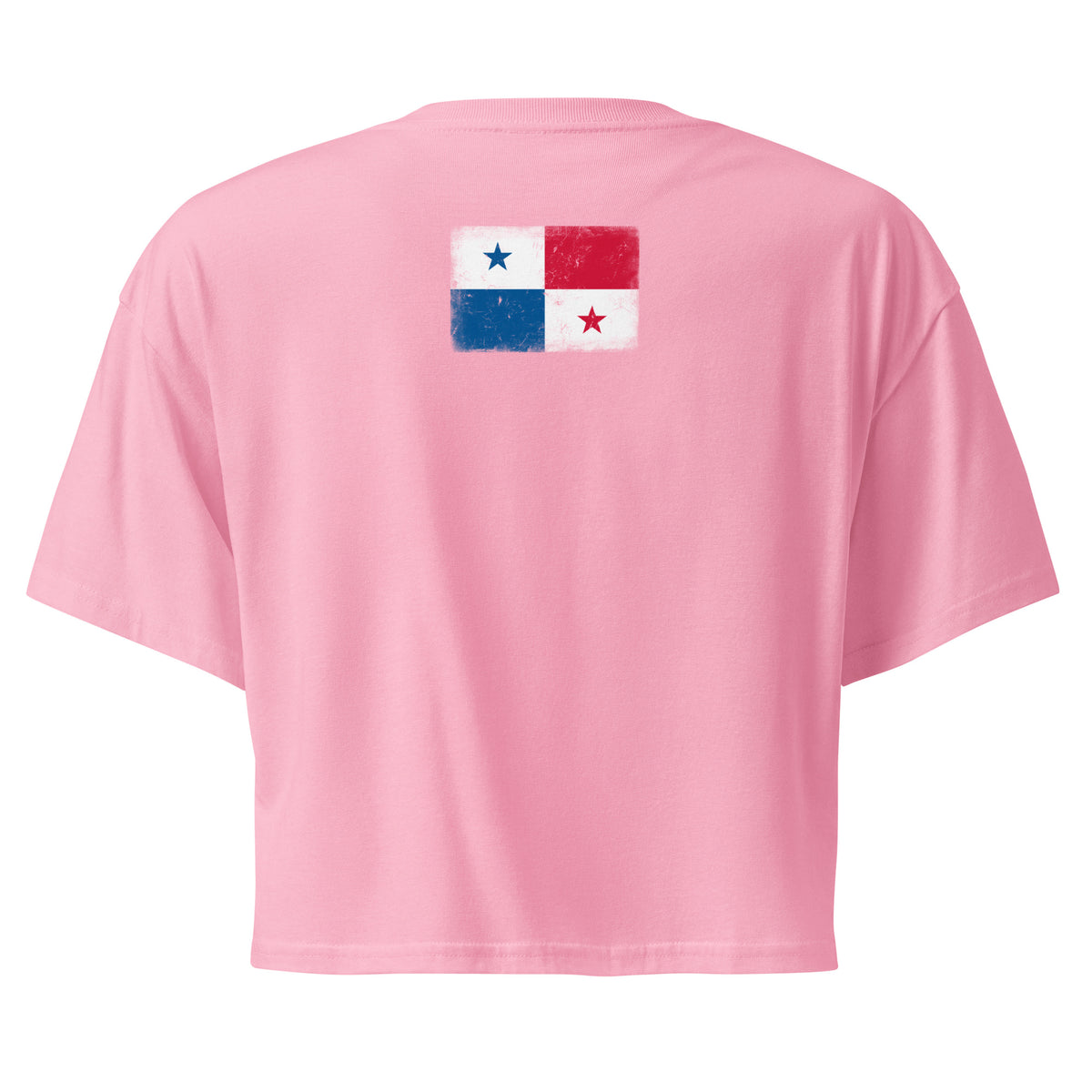 Panama flag crop top in Bubblegum, vintage-washed print, flag across the upper back, women cut, back view