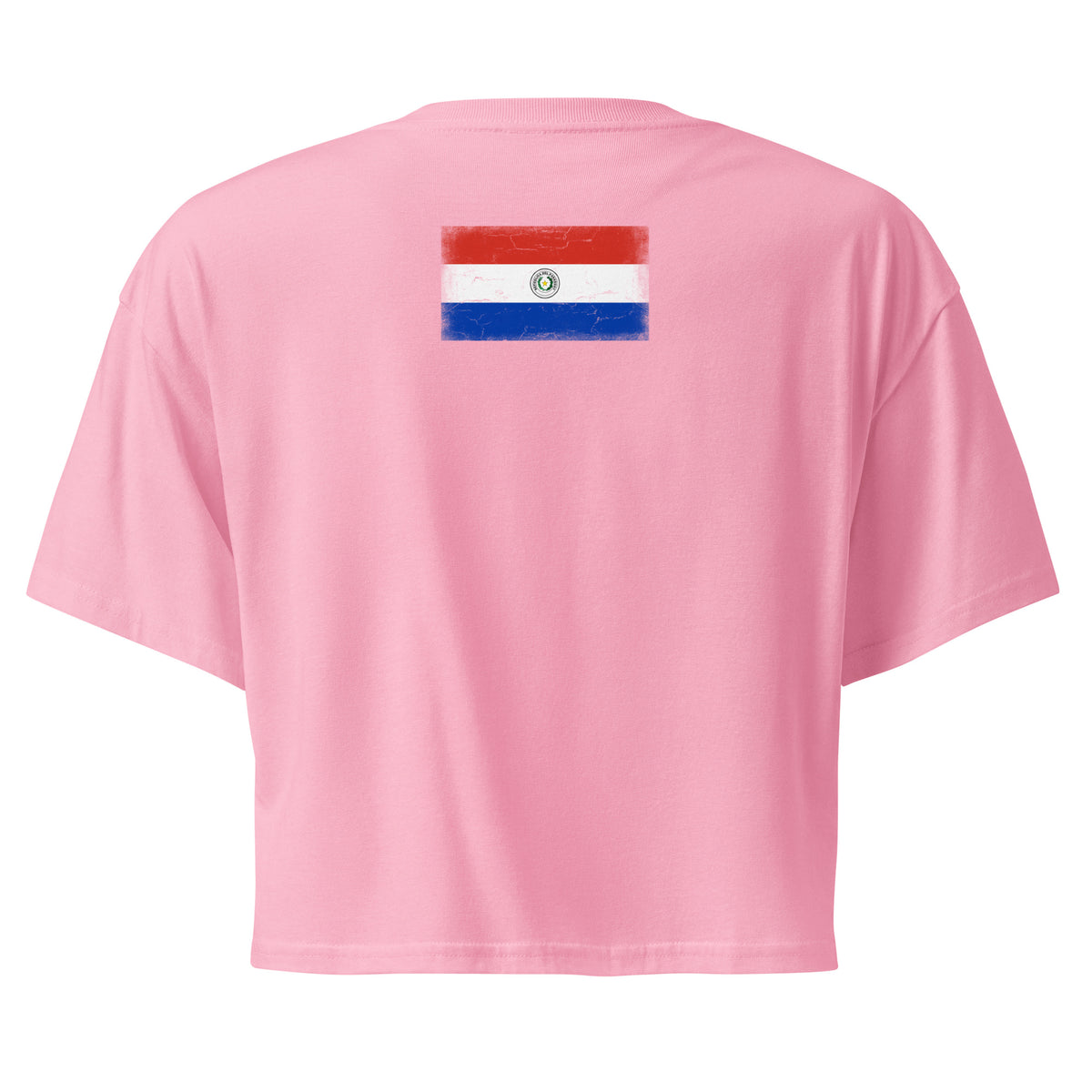 Paraguay flag crop top in Bubblegum, vintage-washed print, flag across the upper back, women cut, back view