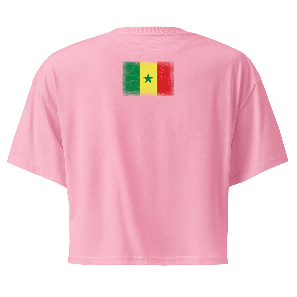 Senegal flag crop top in Bubblegum, vintage-washed print, flag across the upper back, women cut, back view