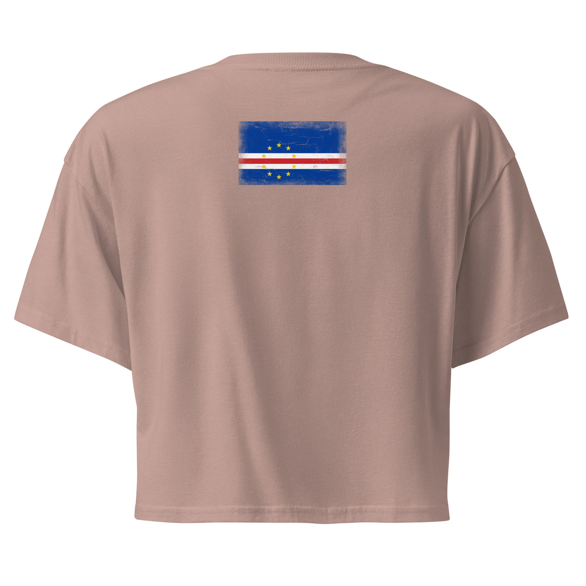 Cape Verde flag crop top in Hazy Pink, vintage-washed print, flag across the upper back, women cut, back view