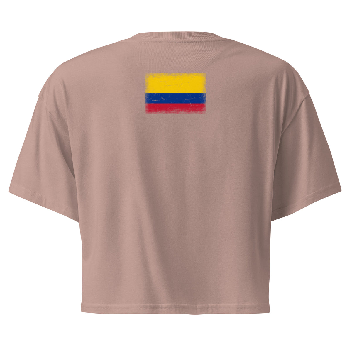 Colombia flag crop top in Hazy Pink, vintage-washed print, flag across the upper back, women cut, back view