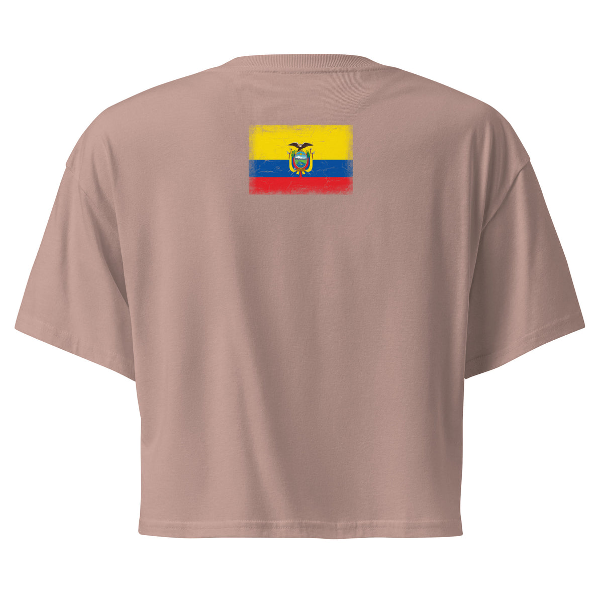 Ecuador flag crop top in Hazy Pink, vintage-washed print, flag across the upper back, women cut, back view