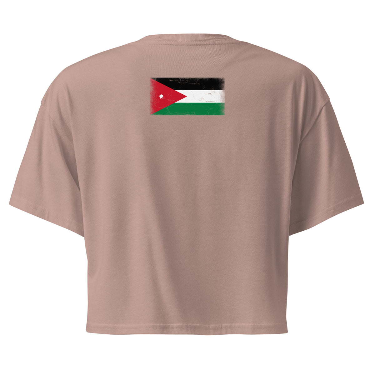 Jordan flag crop top in Hazy Pink, vintage-washed print, flag across the upper back, women cut, back view