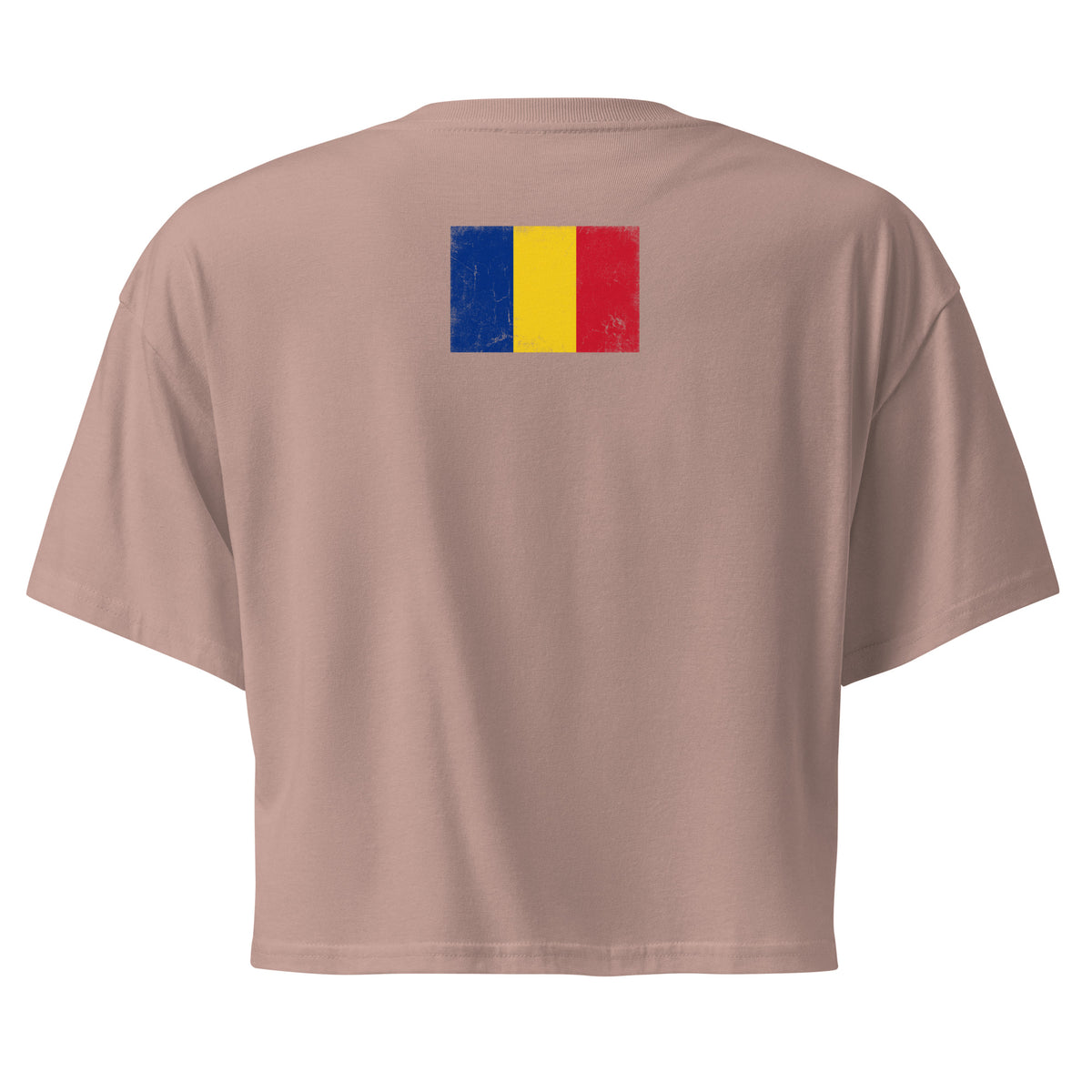 Romania flag crop top in Hazy Pink, vintage-washed print, flag across the upper back, women cut, back view