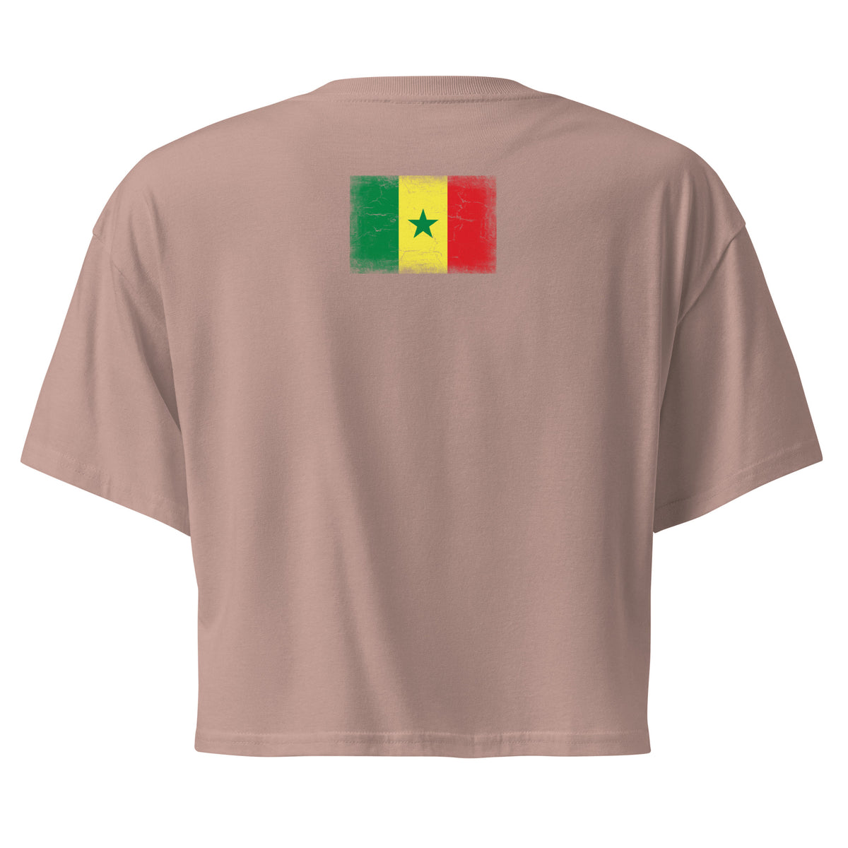 Senegal flag crop top in Hazy Pink, vintage-washed print, flag across the upper back, women cut, back view