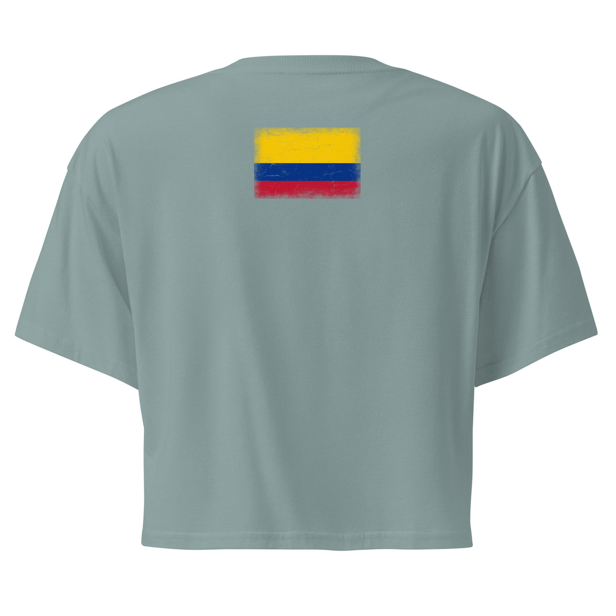 Colombia flag crop top in Mineral, vintage-washed print, flag across the upper back, women cut, back view