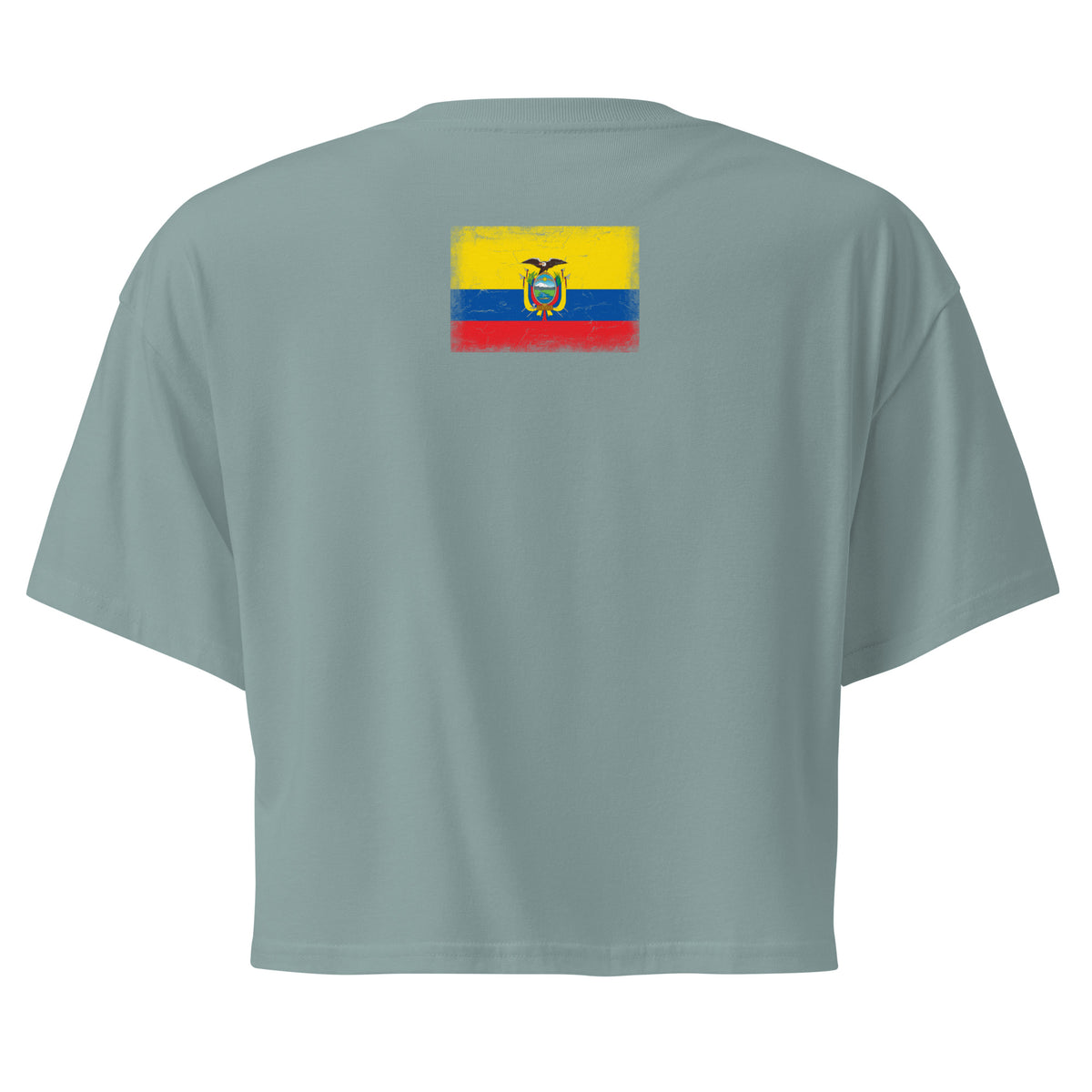 Ecuador flag crop top in Mineral, vintage-washed print, flag across the upper back, women cut, back view