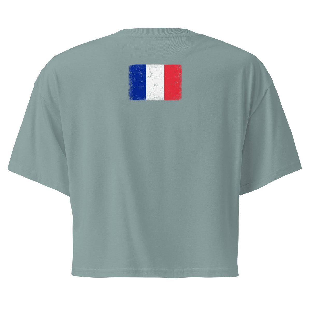France flag crop top in Mineral, vintage-washed print, flag across the upper back, women cut, back view