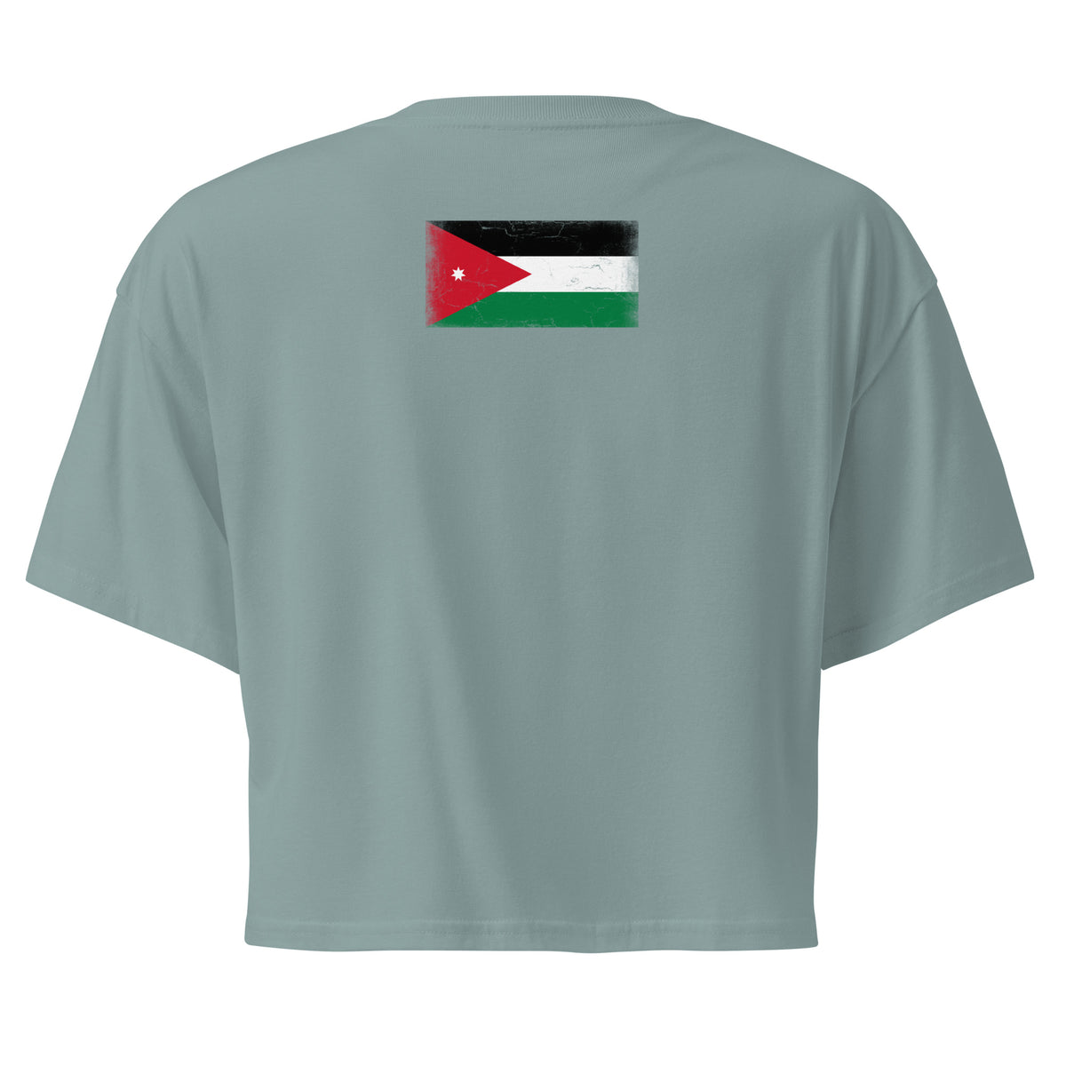 Jordan flag crop top in Mineral, vintage-washed print, flag across the upper back, women cut, back view