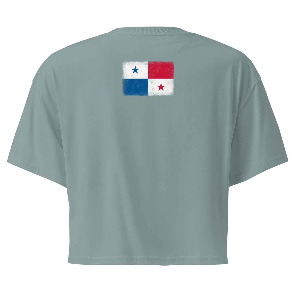 Panama flag crop top in Mineral, vintage-washed print, flag across the upper back, women cut, back view