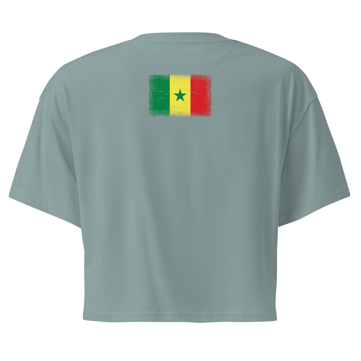 Senegal flag crop top in Mineral, vintage-washed print, flag across the upper back, women cut, back view