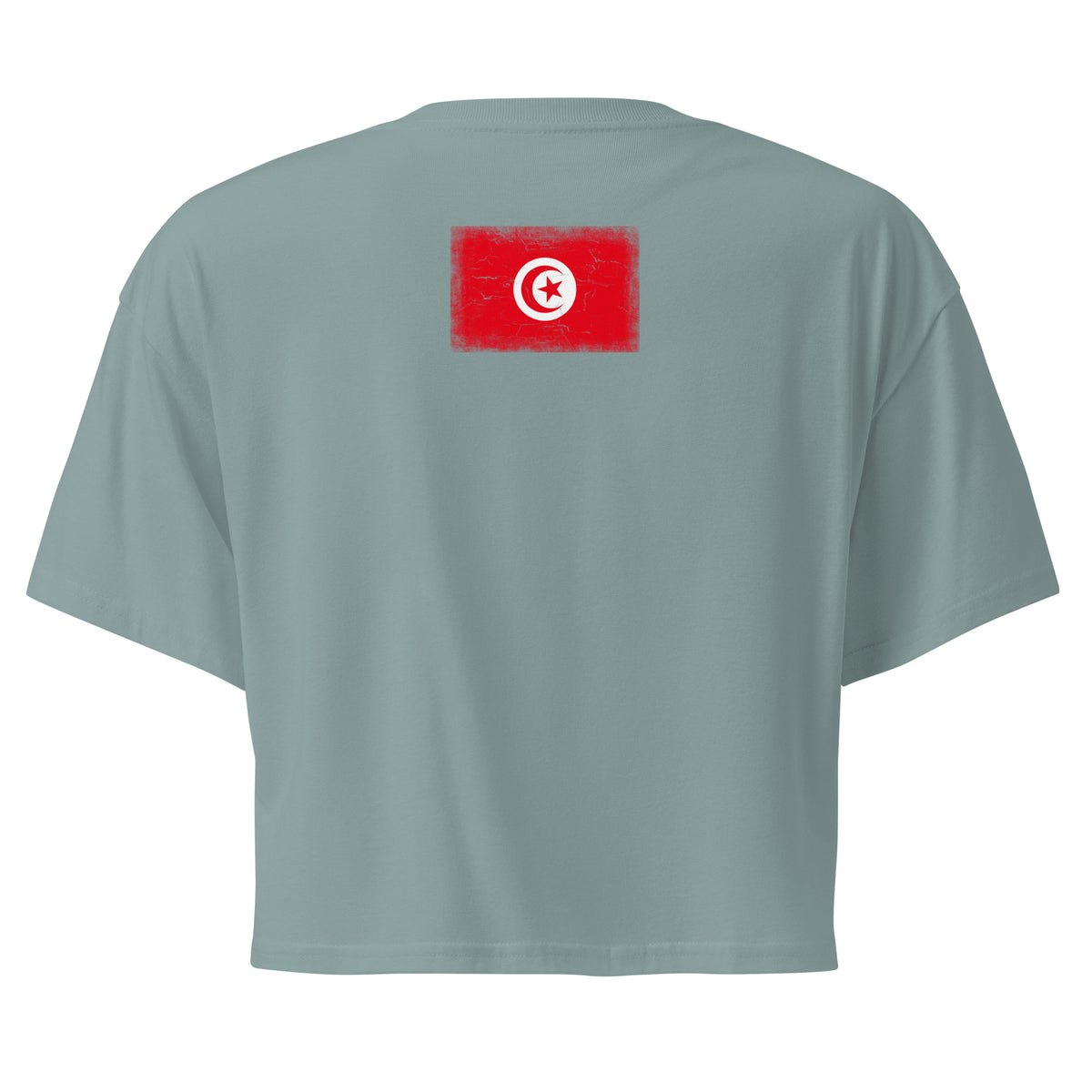 Tunisia flag crop top in Mineral, vintage-washed print, flag across the upper back, women cut, back view