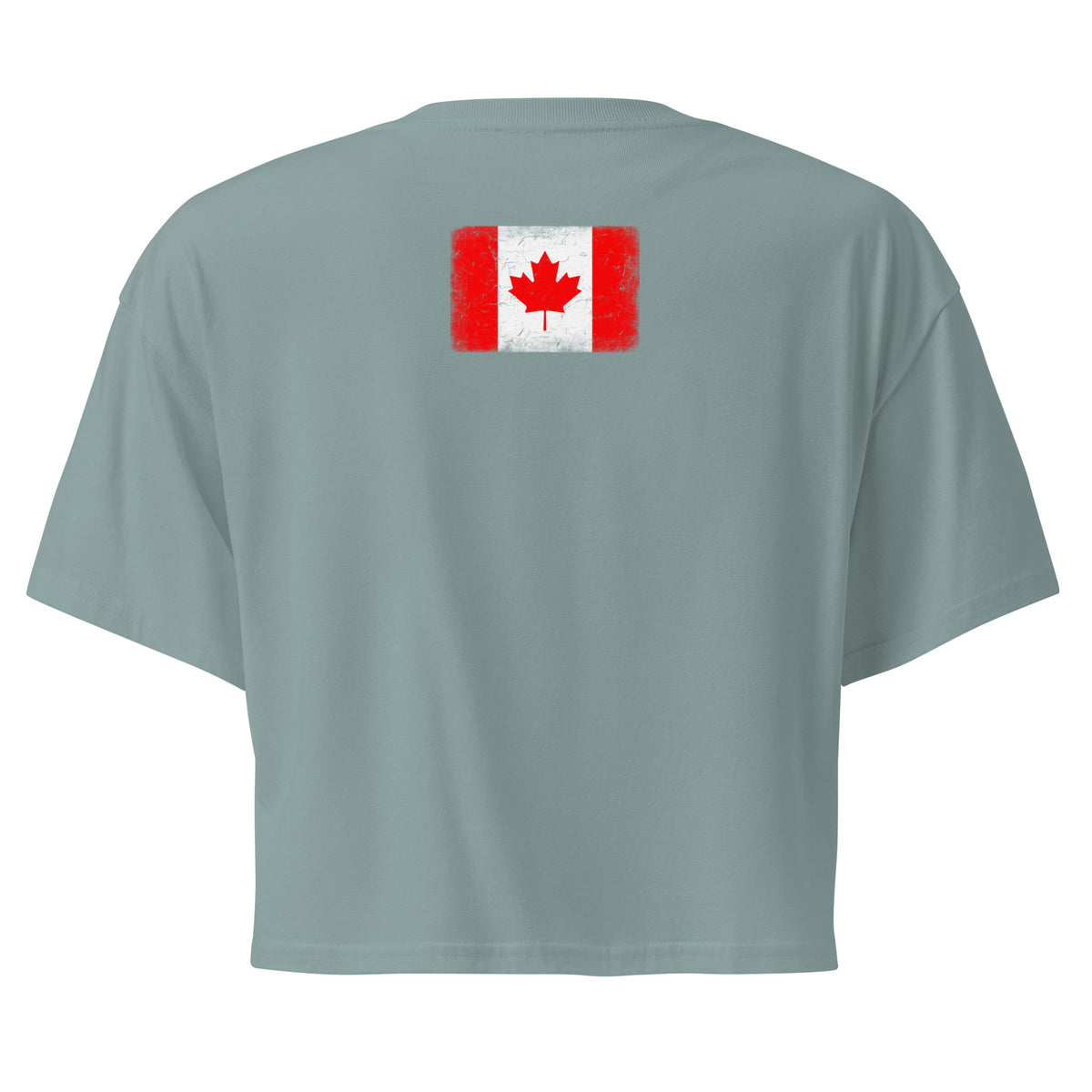 Canada flag crop top in Mineral, vintage-washed print, flag across the upper back, women cut, back view