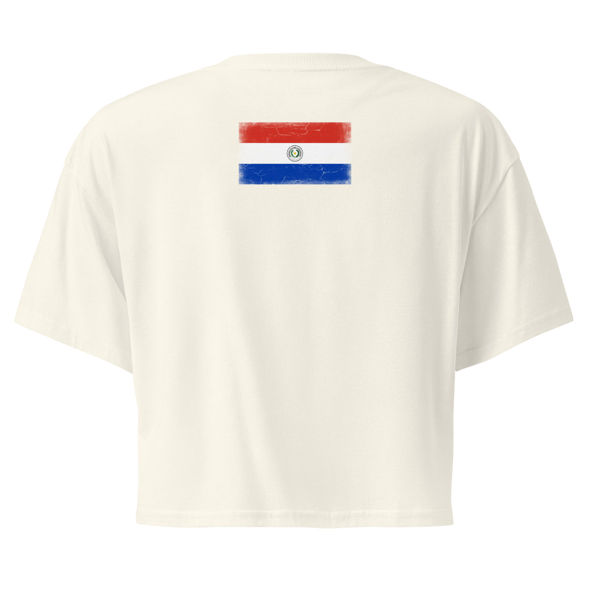 Paraguay flag crop top in Natural, vintage-washed print, flag across the upper back, women cut, back view