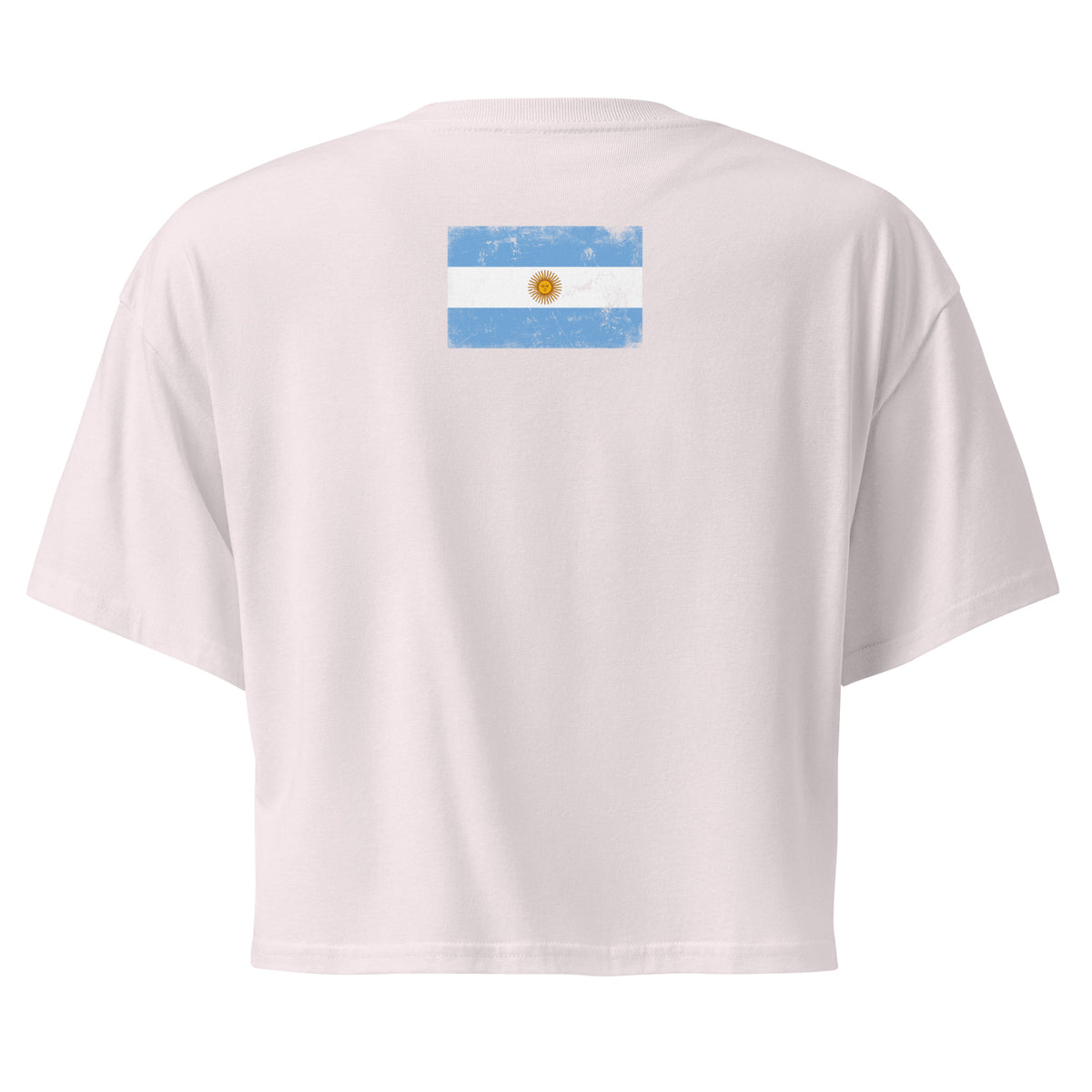 Argentina flag crop top in Orchid, vintage-washed print, flag across the upper back, women cut, back view