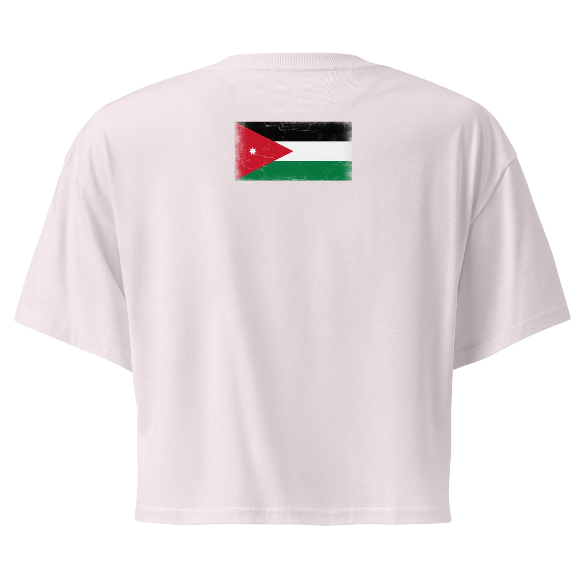 Jordan flag crop top in Orchid, vintage-washed print, flag across the upper back, women cut, back view