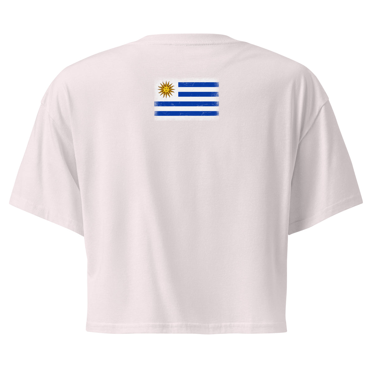 Uruguay flag crop top in Orchid, vintage-washed print, flag across the upper back, women cut, back view