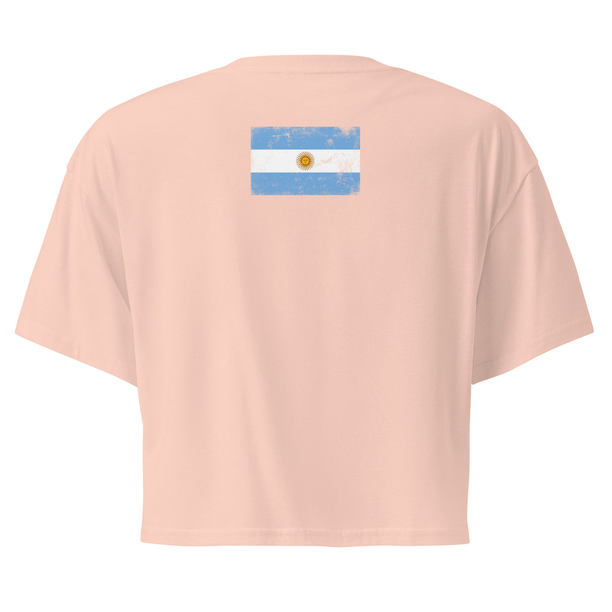 Argentina flag crop top in Pale Pink, vintage-washed print, flag across the upper back, women cut, back view