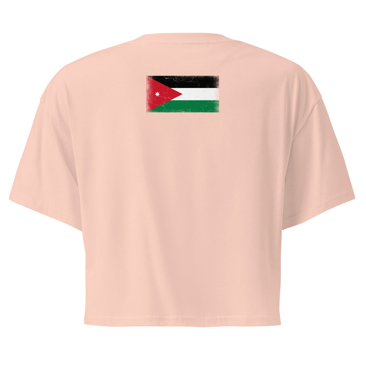 Jordan flag crop top in Pale Pink, vintage-washed print, flag across the upper back, women cut, back view