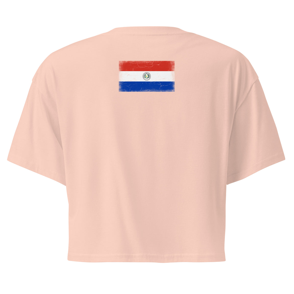 Paraguay flag crop top in Pale Pink, vintage-washed print, flag across the upper back, women cut, back view