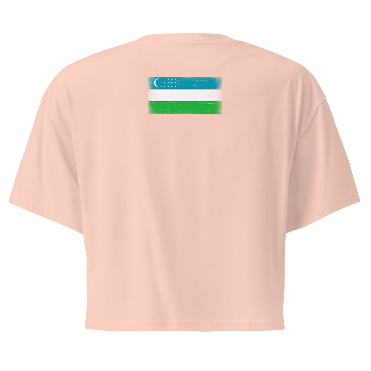 Uzbekistan flag crop top in Pale Pink, vintage-washed print, flag across the upper back, women cut, back view