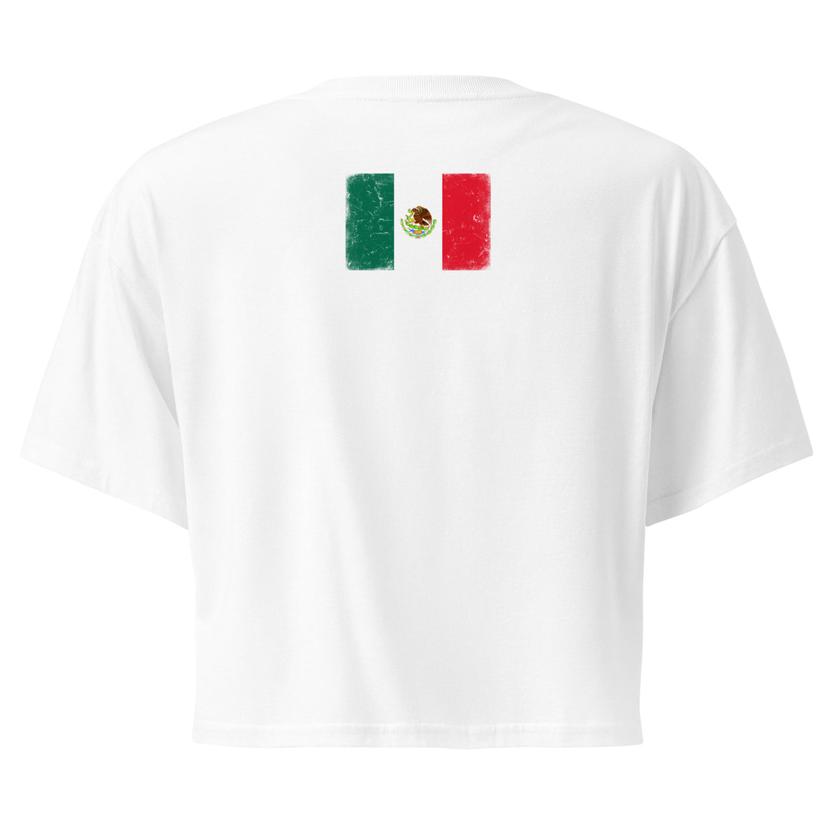 Mexico flag crop top in White, vintage-washed print, flag across the upper back, women cut, back view