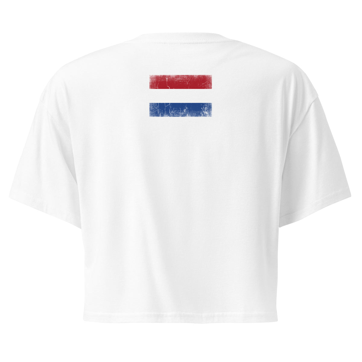 Netherlands flag crop top in White, vintage-washed print, flag across the upper back, women cut, back view